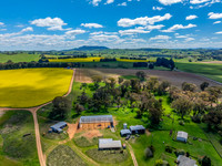 Spring Canola Crop in the NSW Central West Countryside