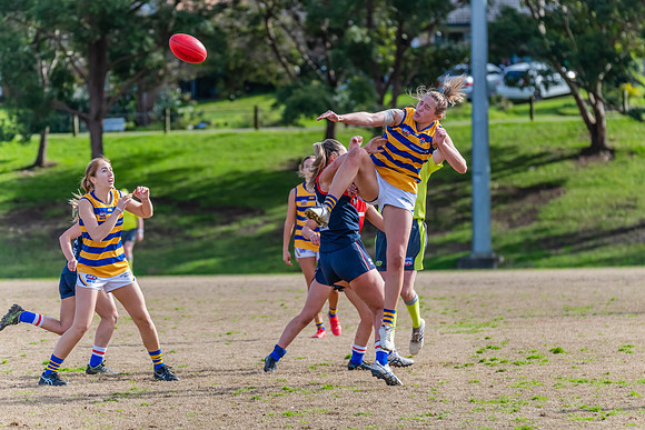 Rd 14 WPD - Pennant Hills v Sydney Uni - 16 July 2022