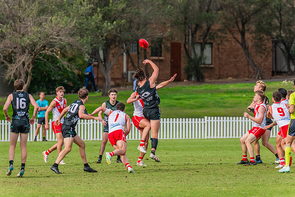 Rd 7 MPD - St George v UTS - 25 May 2024