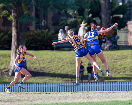 Rd 12 WPD - Sydney Uni v East Coast - 5 July 2025