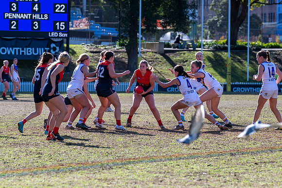Rd 12 WPD - Sydney Uni v Pennant Hills - 1 July 2023