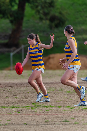 Rd 14 WPD - Pennant Hills v Sydney Uni - 16 July 2022