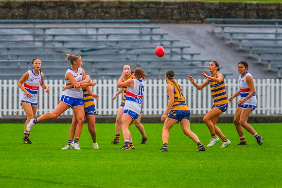 Rd 8 WPD - UNSW-ES v Sydney Uni - 1 June 2024