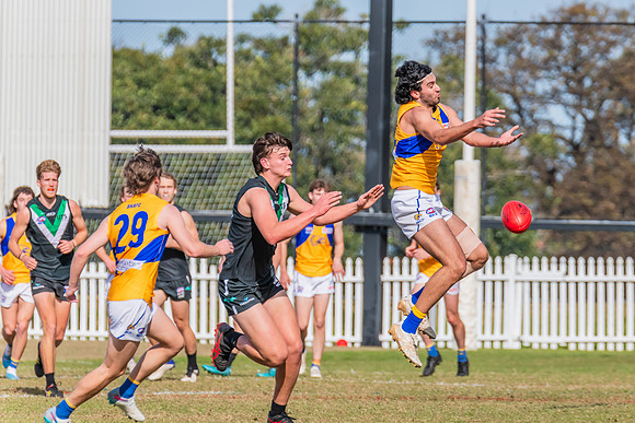 Rd 14 MPD - UTS v East Coast - 15 July 2023