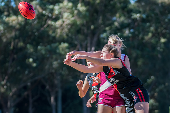 Rd 13 WPD - Manly-Warringah v North Shore - 8 July 2023