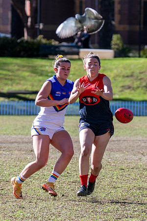 Rd 12 WPD - Sydney Uni v Pennant Hills - 1 July 2023