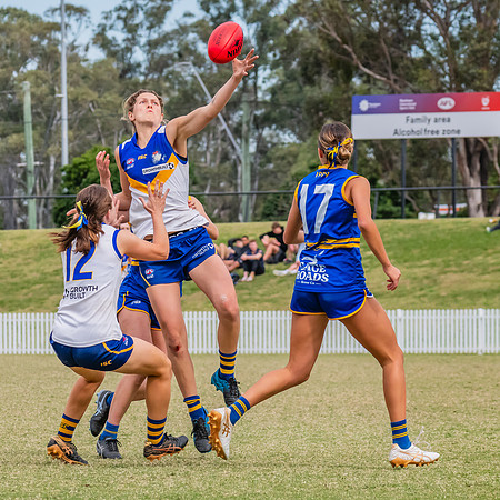 WPD Semi Final - Parramatta v Sydney Uni - 8 September 2024