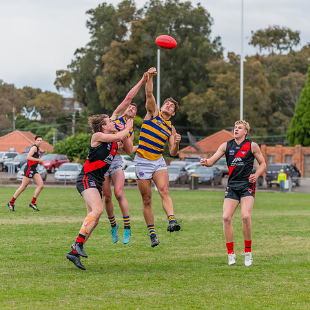MPD Qualifying Final - North Shore v Sydney University - 20 Augu