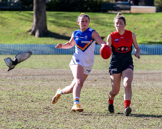 Rd 12 WPD - Sydney Uni v Pennant Hills - 1 July 2023