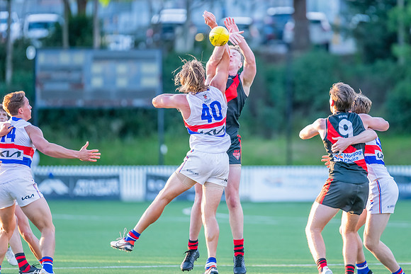 Rd 4 MPD - North Shore v UNSW-ES - 27 April 2024