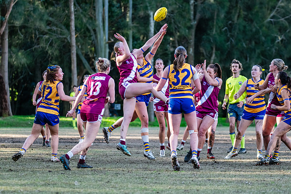 Rd 17 WPD - Manly Warringah v Sydney Uni - 16 August 2025
