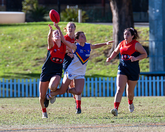 Rd 12 WPD - Sydney Uni v Pennant Hills - 1 July 2023