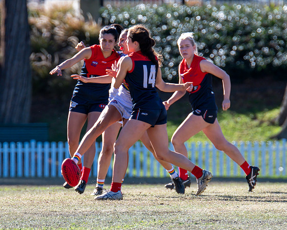 Rd 12 WPD - Sydney Uni v Pennant Hills - 1 July 2023