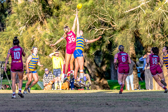 Rd 17 WPD - Manly Warringah v Sydney Uni - 16 August 2025