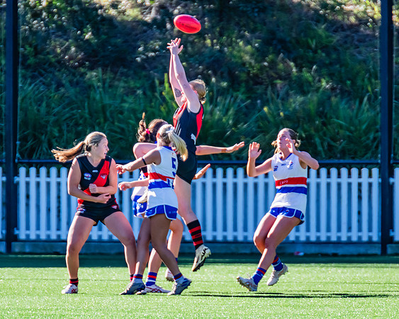 Rd 4 WPD - North Shore v UNSW-ES - 27 April 2024