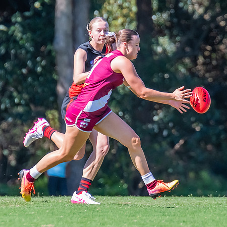 Rd 2 WPD - Manly Warringah v North Shore - 5 April 2025