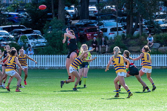 Rd 3 WPD - North Shore v Sydney Uni - 23 April 2022