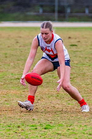 Rd 6 WPD - UTS v Pennant Hills - 11 May 2024