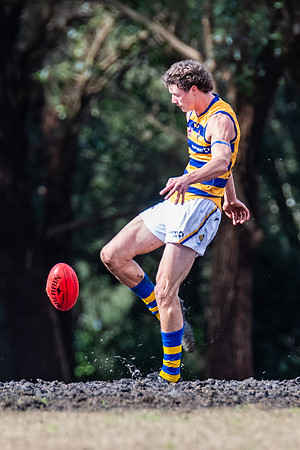 Rd 17 MPD - Manly Warringah v Sydney Uni - 16 August 2025
