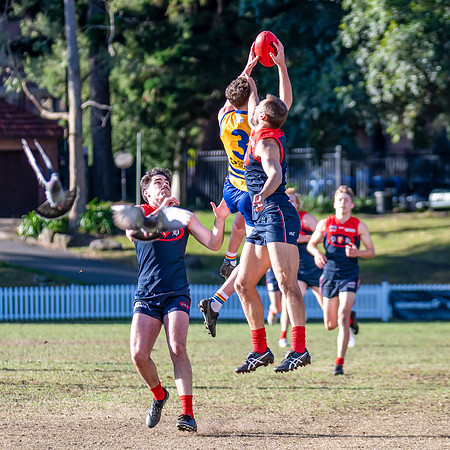 Rd 12 MPD - Sydney Uni v Pennant Hills - 1 July 2023