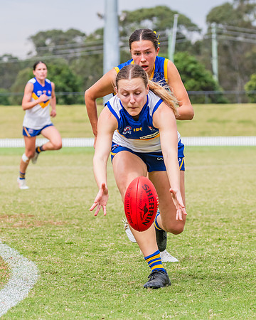 WPD Semi Final - Parramatta v Sydney Uni - 8 September 2024