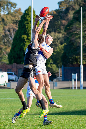 Rd 12 MPD - UNSW-ES v Inner West - 2 July 2023