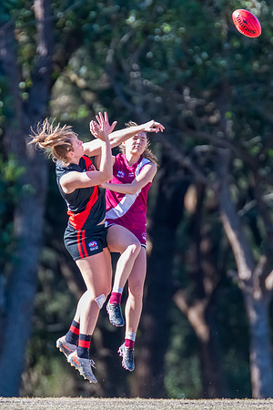 Rd 13 WPD - Manly-Warringah v North Shore - 8 July 2023