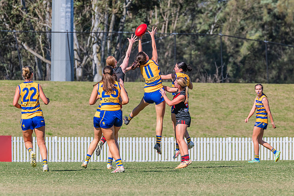 WPD Elimination Final - North Shore v Sydney Uni - 1 September 2
