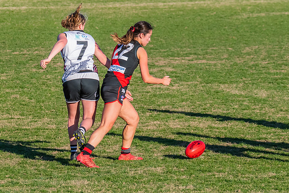 WPD Elimination Final - North Shore v Inner West - 7 August 2022