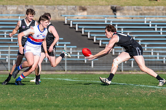 Rd 12 MPD - UNSW-ES v Inner West - 2 July 2023
