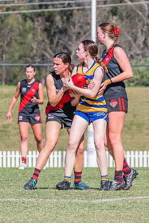 WPD Elimination Final - North Shore v Sydney Uni - 1 September 2