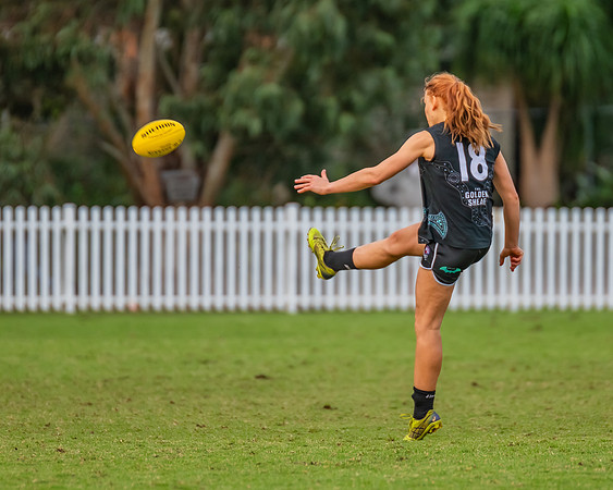 Rd 7 WPD - St George v UTS - 25 May 2024