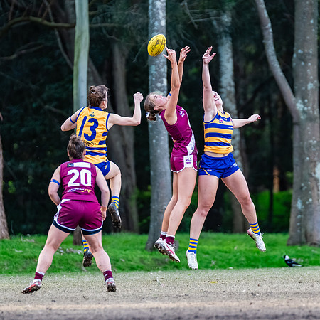 Rd 17 WPD - Manly Warringah v Sydney Uni - 16 August 2025