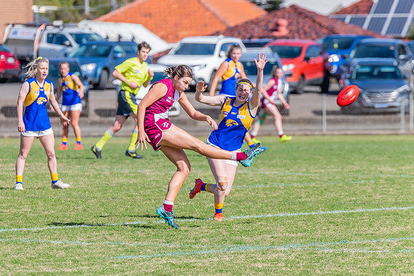 WPD Major Semi Final - East Coast v Manly Warringah - 14 August 2022