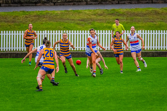 Rd 8 WPD - UNSW-ES v Sydney Uni - 1 June 2024