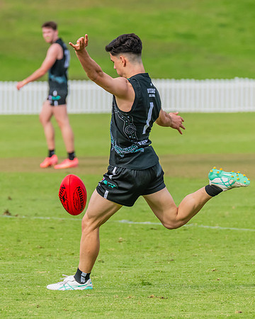 Rd 7 MPD - St George v UTS - 25 May 2024