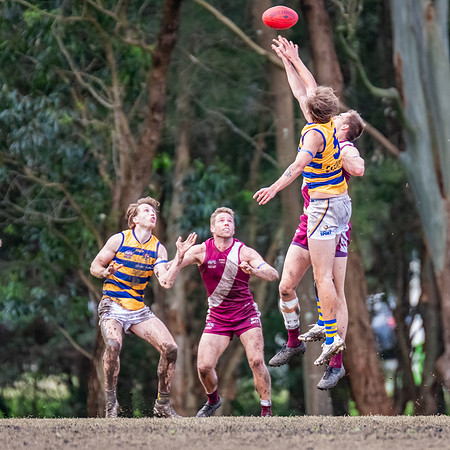 Rd 17 MPD - Manly Warringah v Sydney Uni - 16 August 2025