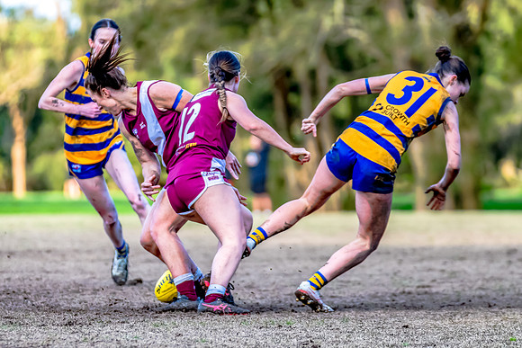 Rd 17 WPD - Manly Warringah v Sydney Uni - 16 August 2025