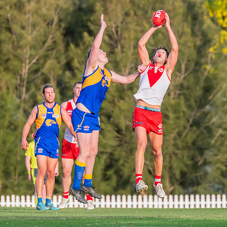 Rd 17 MPD - East Coast v St George - 17 August 2024