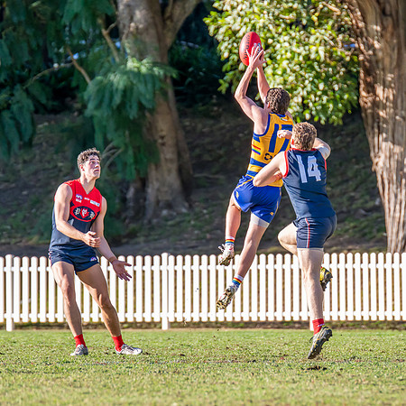 Rd 12 MPD - Sydney Uni v Pennant Hills - 1 July 2023
