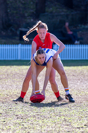 Rd 12 WPD - Sydney Uni v Pennant Hills - 1 July 2023