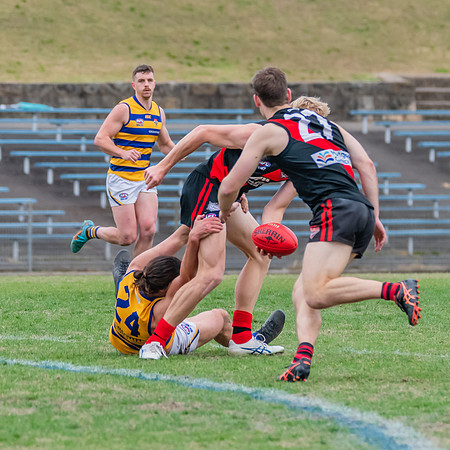 MPD Qualifying Final - North Shore v Sydney University - 20 Augu