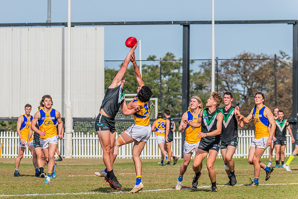 Rd 14 MPD - UTS v East Coast - 15 July 2023