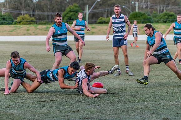 Platinum Div Preliminary Final - Southern Power v Camden Cats -