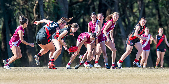 Rd 13 WPD - Manly-Warringah v North Shore - 8 July 2023