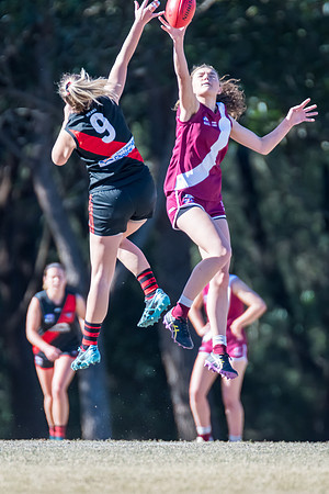 Rd 13 WPD - Manly-Warringah v North Shore - 8 July 2023