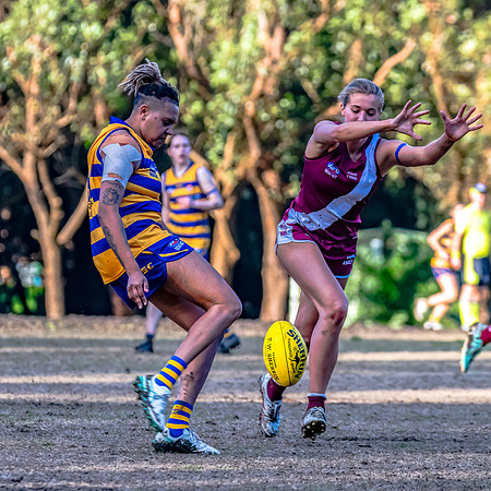 Rd 17 WPD - Manly Warringah v Sydney Uni - 16 August 2025