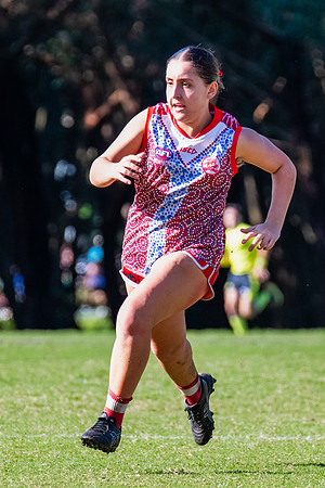 Rd 6 WPD - St George v Manly Warringah - 17 May 2025