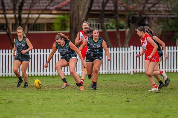 Rd 7 WPD - St George v UTS - 25 May 2024