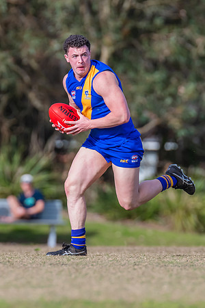 Black Diamond Plate Men's Nelson Bay v Newcastle City - 17 Septe